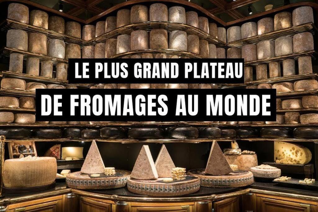 Appartement Cosy Au Pied Des Halles,Le Rossini 나르본 외부 사진